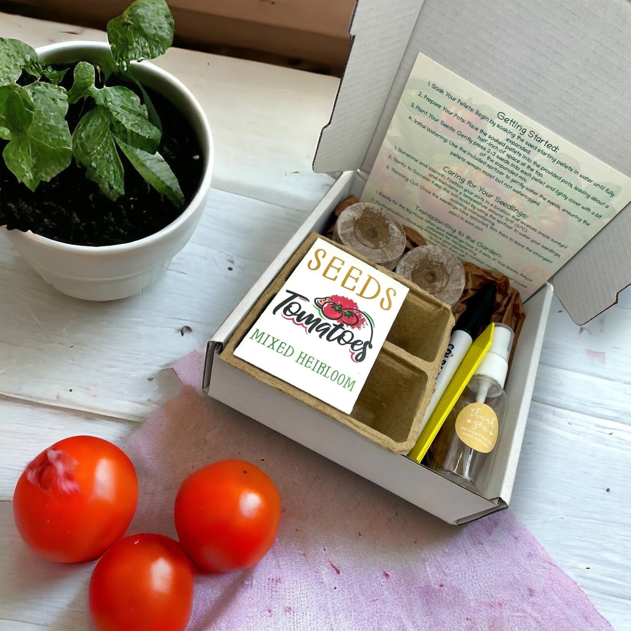 Fuschia Designs Shop - Heirloom Tomato Starter Kit: Grow Your Own Heritage Tomatoes