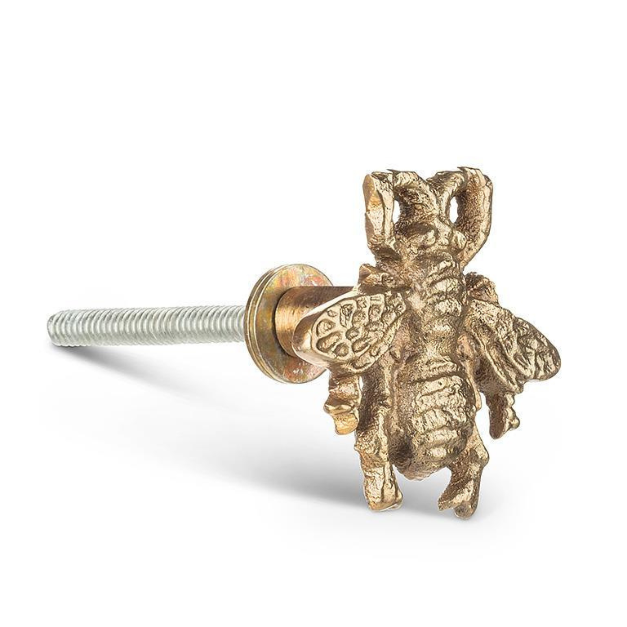 Abbott - Queen Bee Drawer Pull