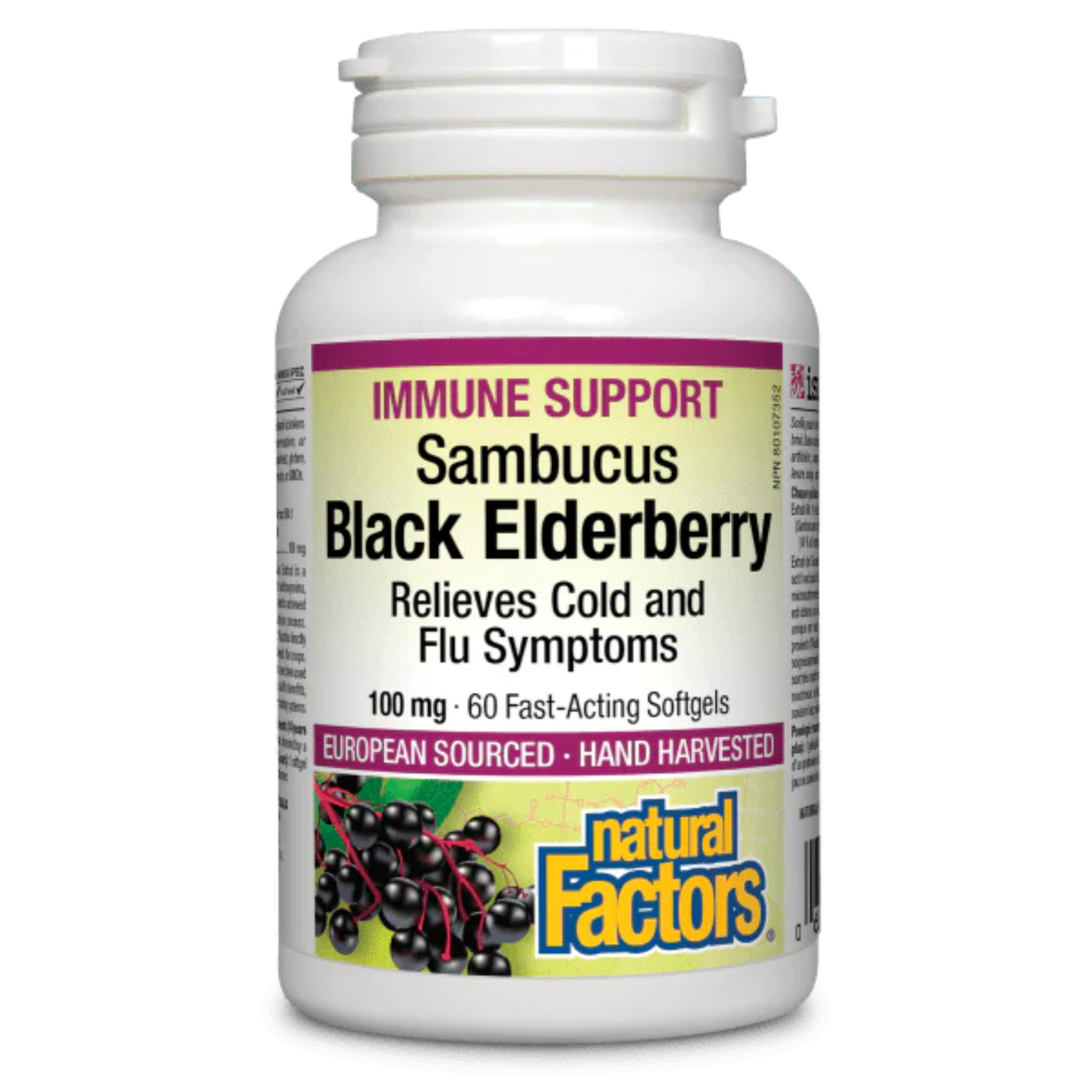 Natural Factors - Immune Support Sambucus Black Elderberry - 100mg 60 Fast Acting Softgels