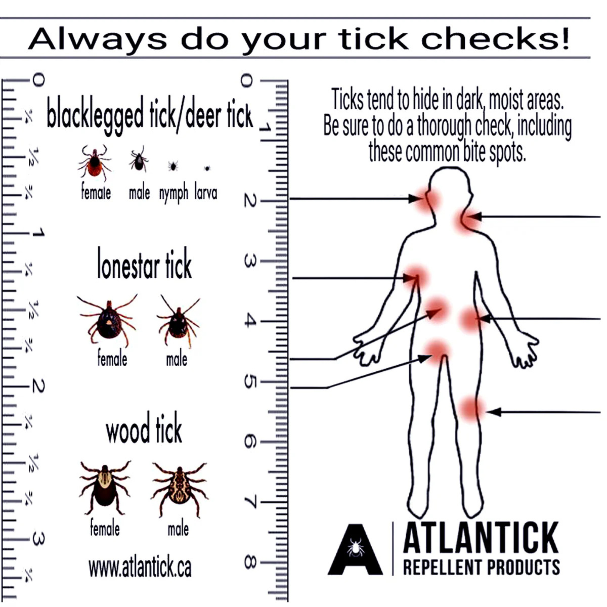 Atlantick - Tick Kit 1st Aid Supplies
