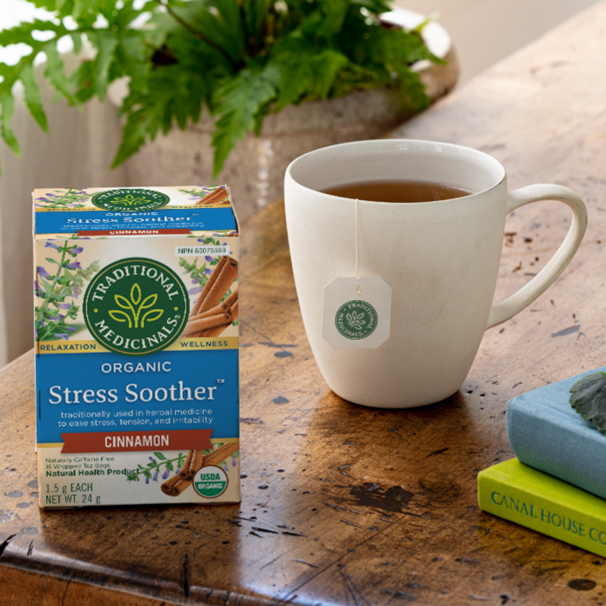 Traditional Medicinals - Stress Soother Cinnamon - 16 Tea Bags