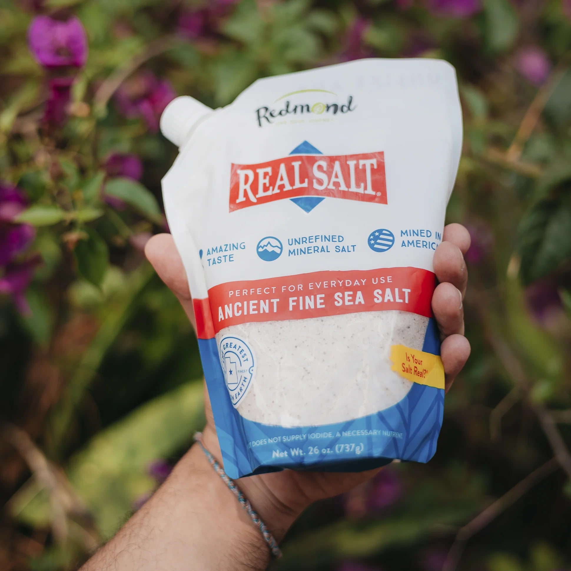 Redmond - Real Salt Fine Salt Bag - 737g