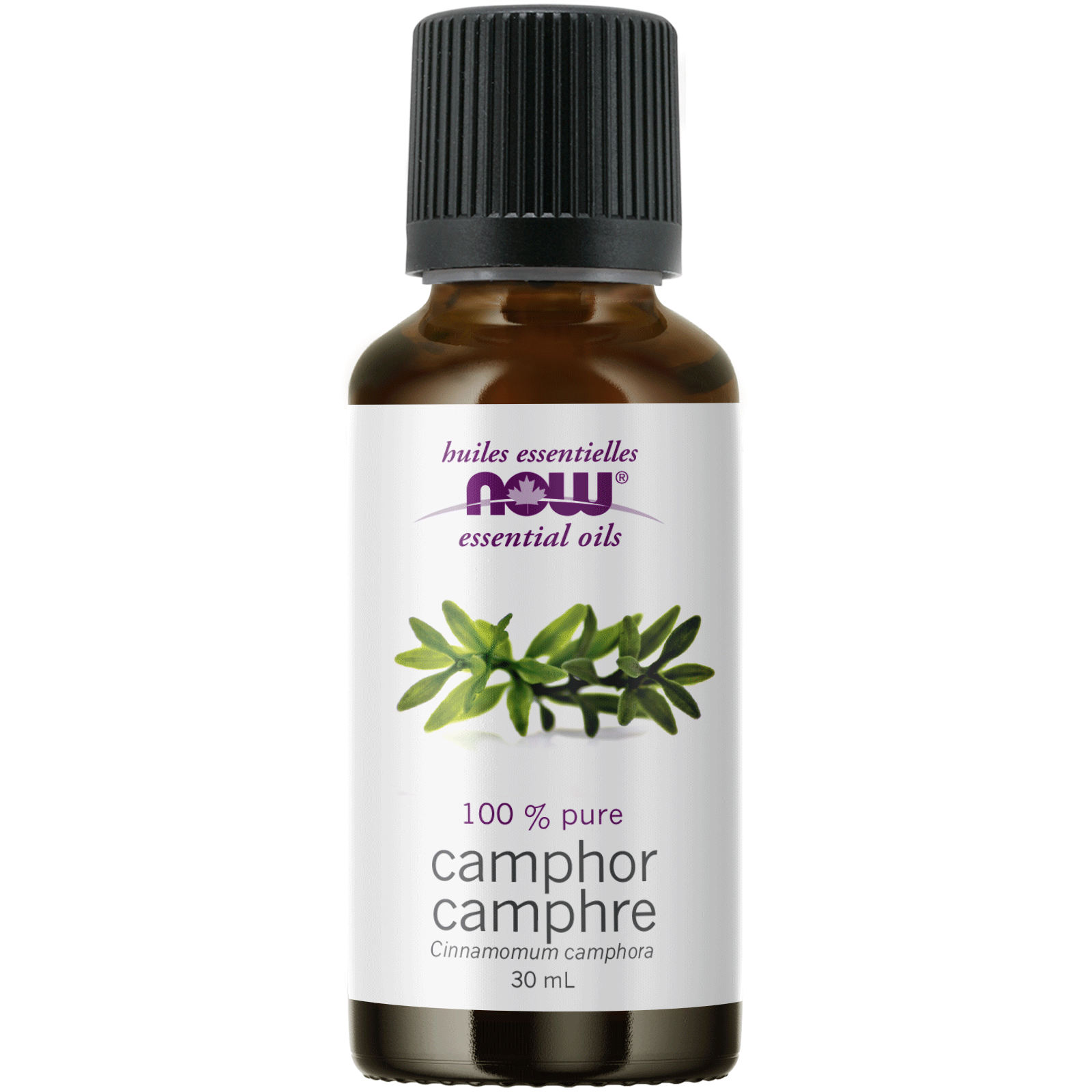 Now - Camphor Essential Oil - 30ml