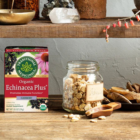 Traditional Medicinals - Organic Echinacea Plus Elderberry - 16 Tea Bags