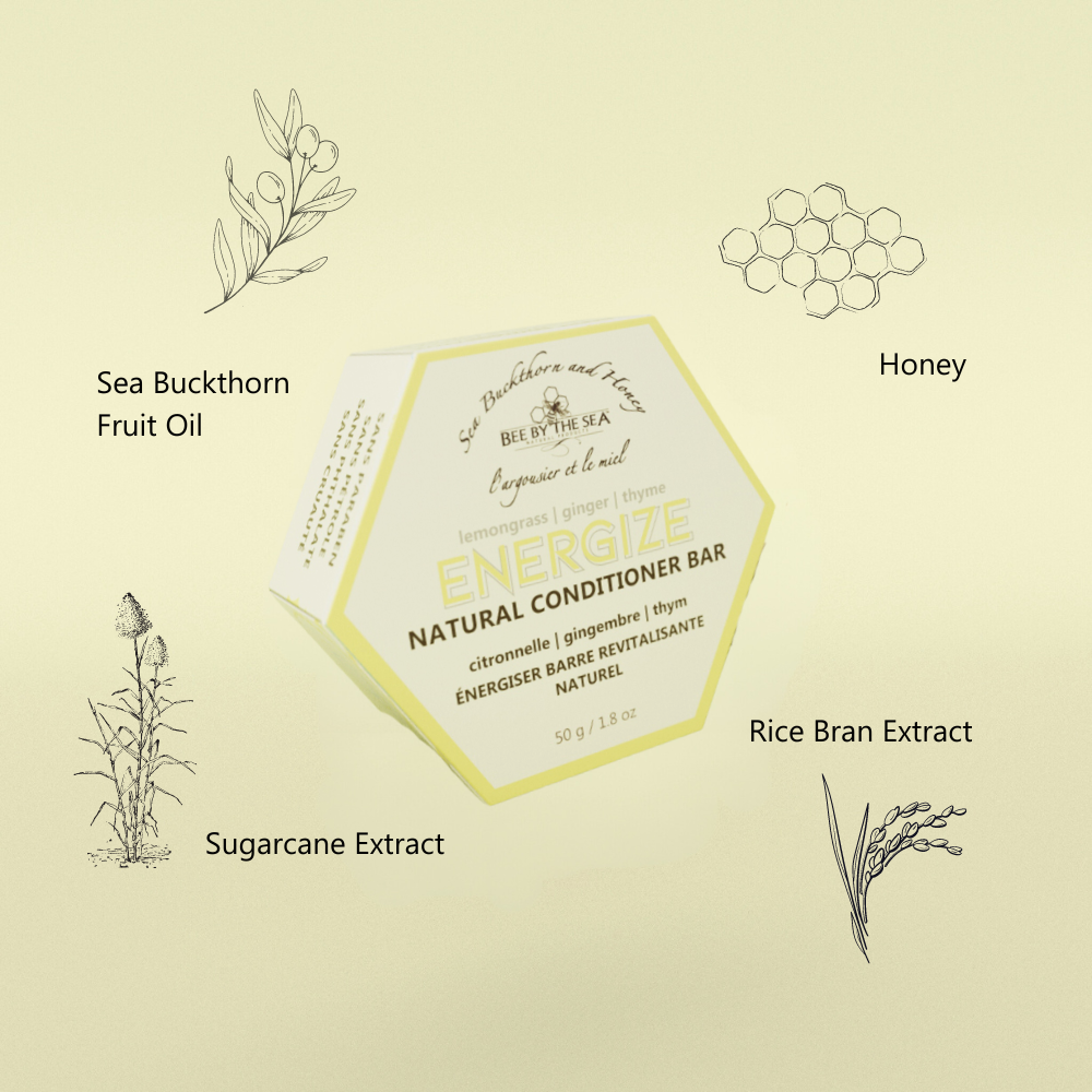 Bee By The Sea - Energize Conditioner Bar - 50g