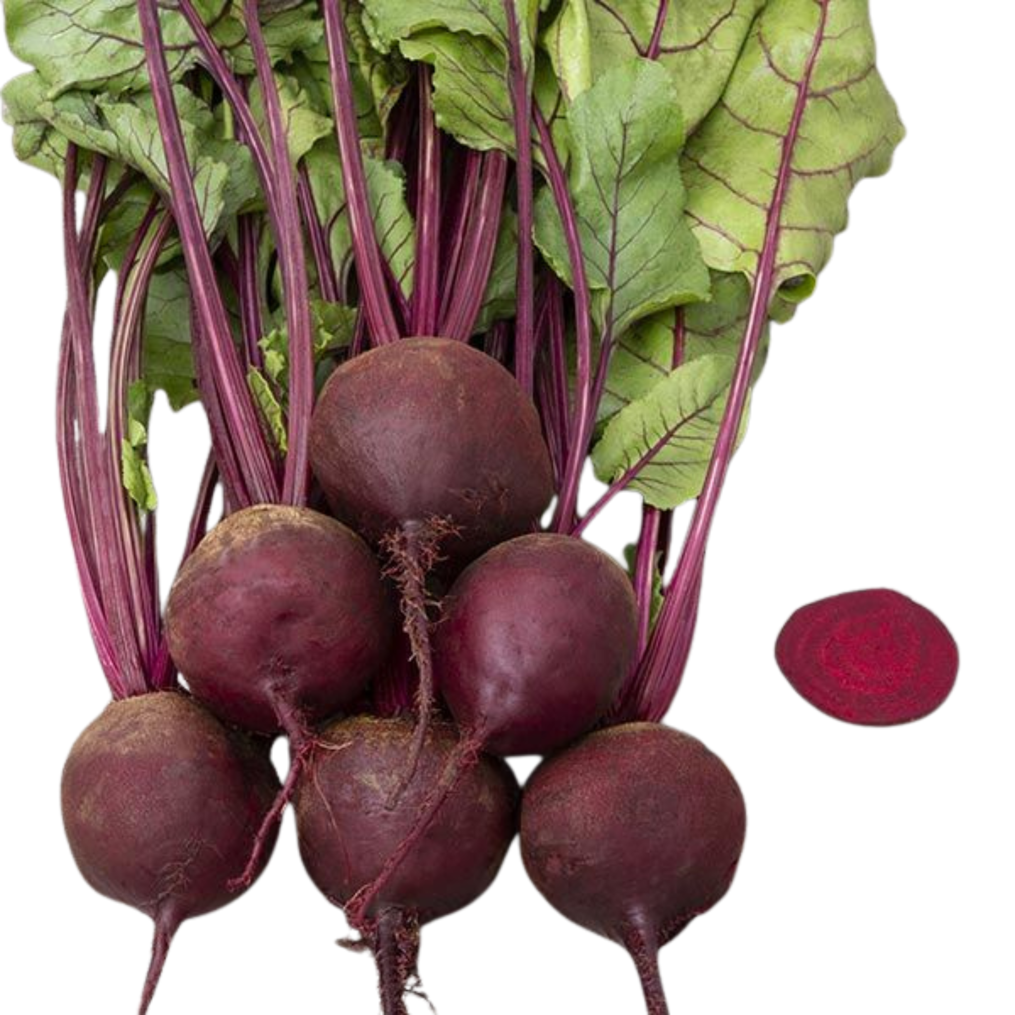 Kitchen Table Seed House - Organic Beets Early Wonder Tall Top - 200 Seeds