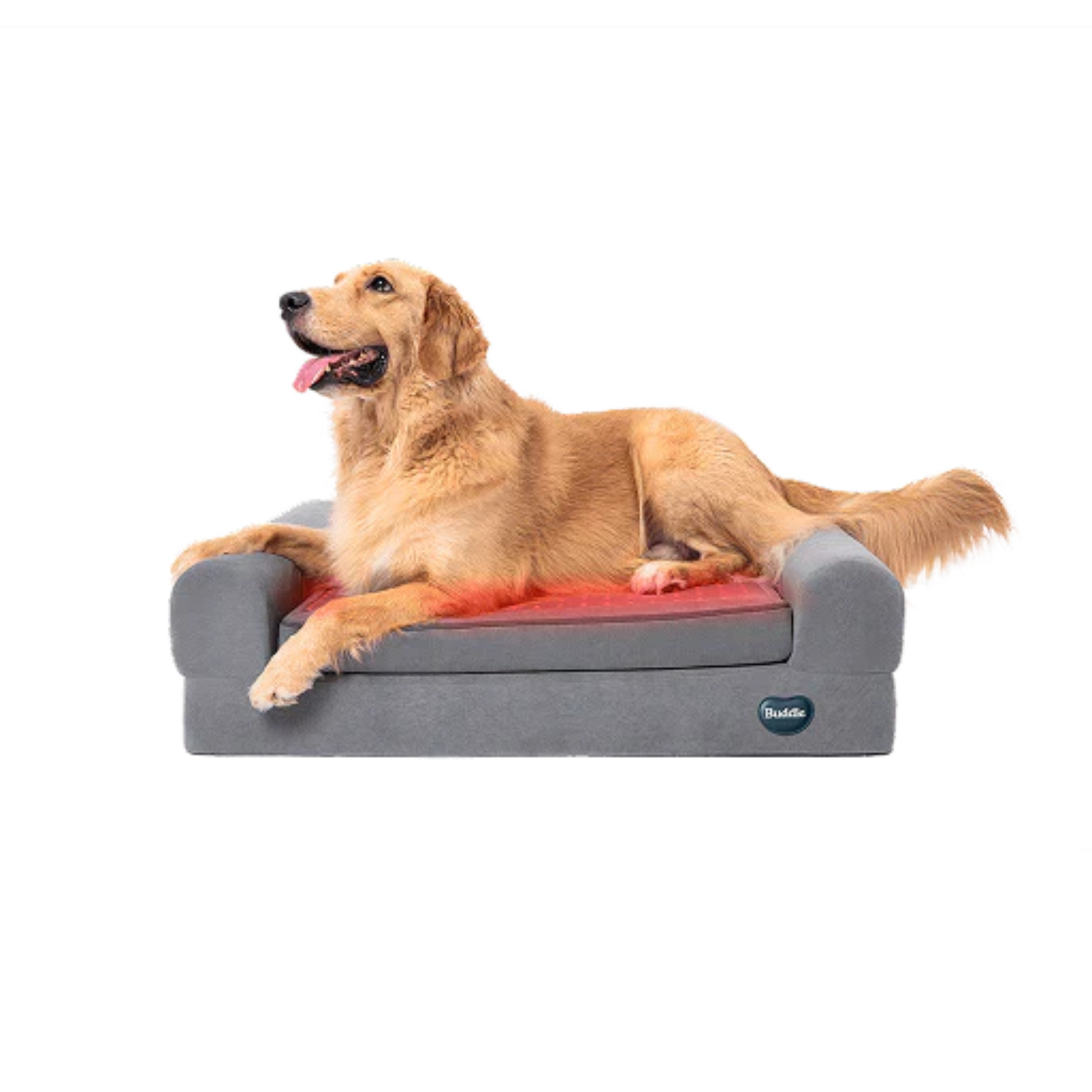 Kala Red Light - Pet Therapy Bed