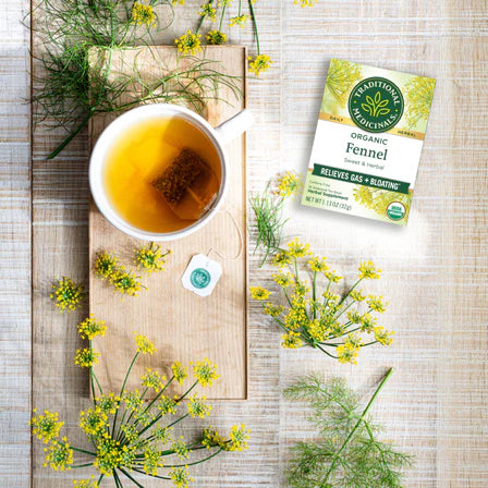 Traditional Medicinals - Organic Fennel Tea - 16 Tea Bags
