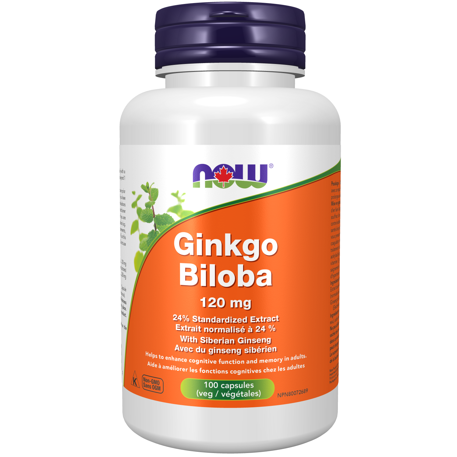 Now - Ginkgo Biloba - 120mg 100 Veg Capsules