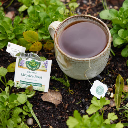 Traditional Medicinals - Organic Licorice Root Tea - 16 Tea Bags