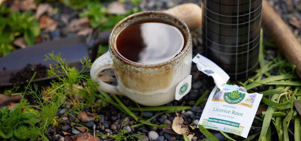 Traditional Medicinals - Organic Licorice Root Tea - 16 Tea Bags