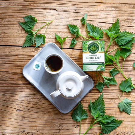 Traditional Medicinals - Organic Nettle Leaf - 16 Tea Bags