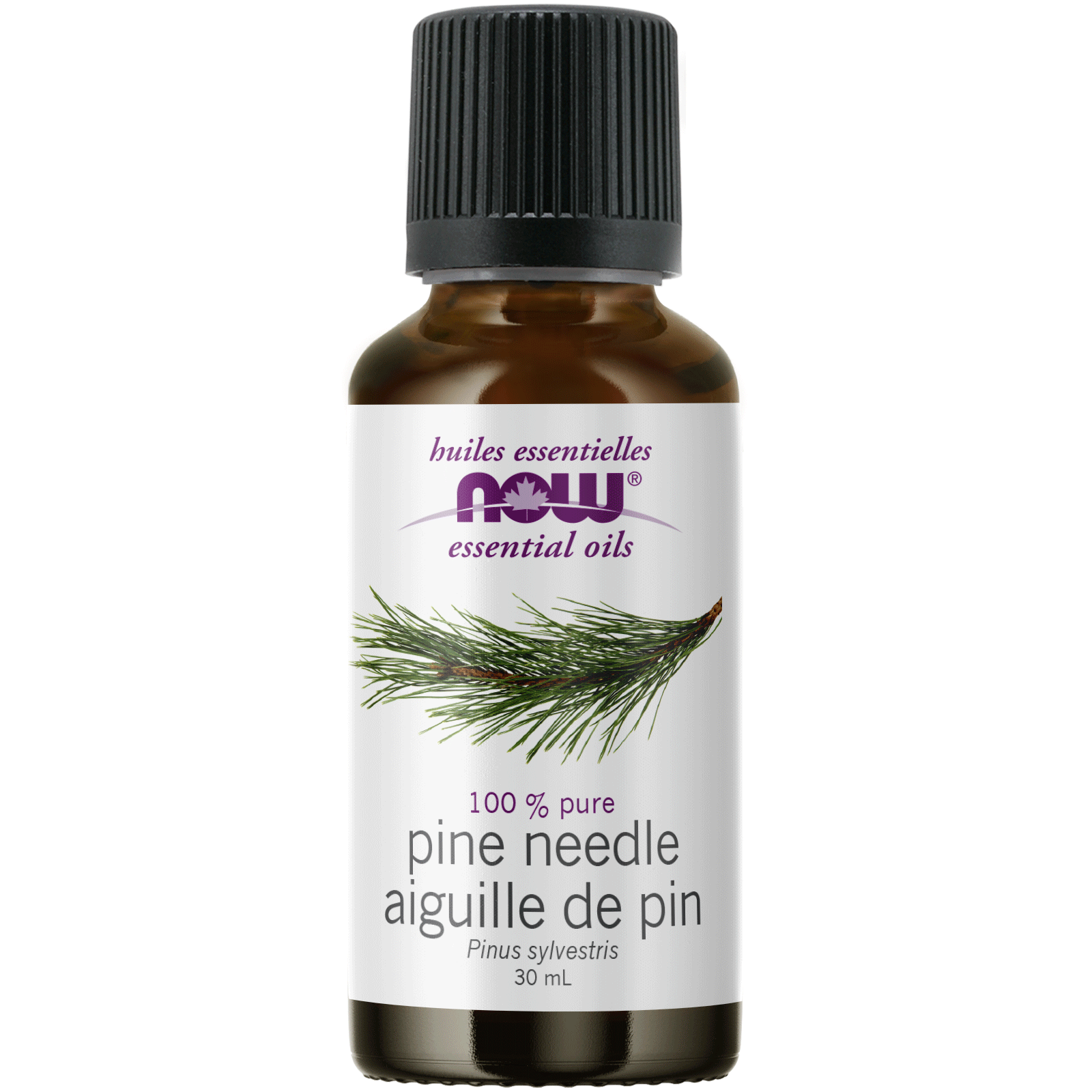 Now - Pine Needle Essential Oil - 30ml