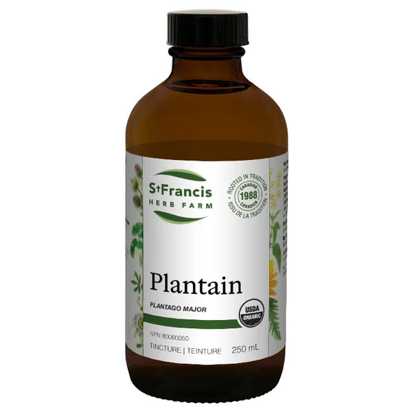 St Francis Herbs - Plantain Tincture - 250ml