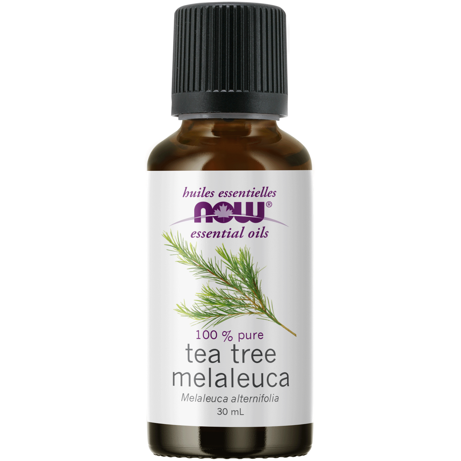 Now - Tea Tree Essential Oil