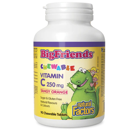 Natural Factors - Big Friends Kids Chewable Vitamin C 250mg - 90 Chewable Tablets
