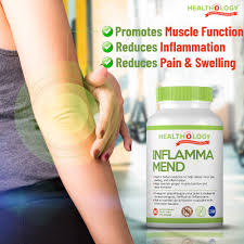 Healthology - Inflamma-Mend - 60 Softgel Capsules