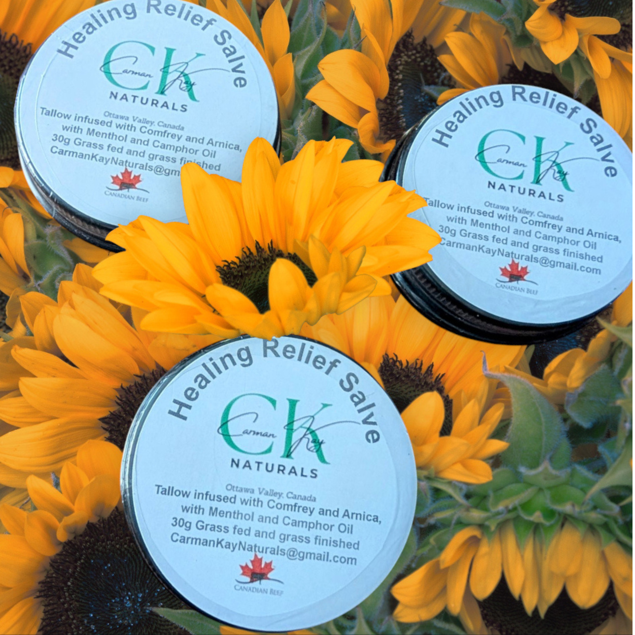 Carman Kay Naturals - Healing Relief Salve - 30g
