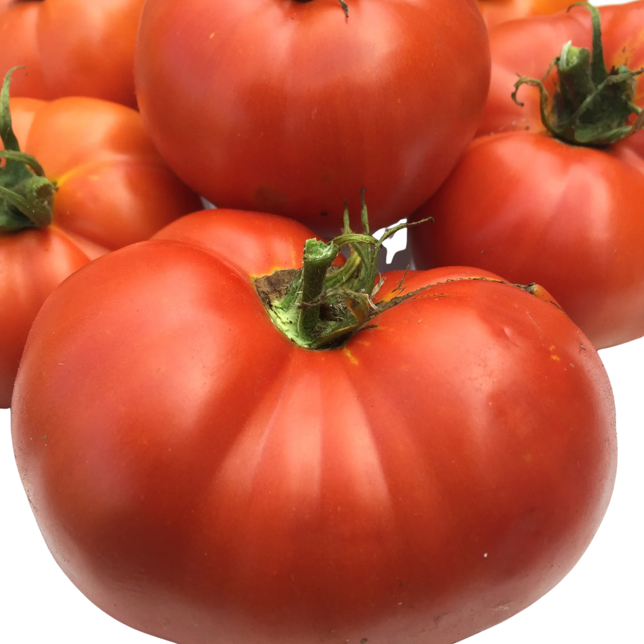 Kitchen Table Seed House - Organic Tomato Box Car Willie - 25 Seeds