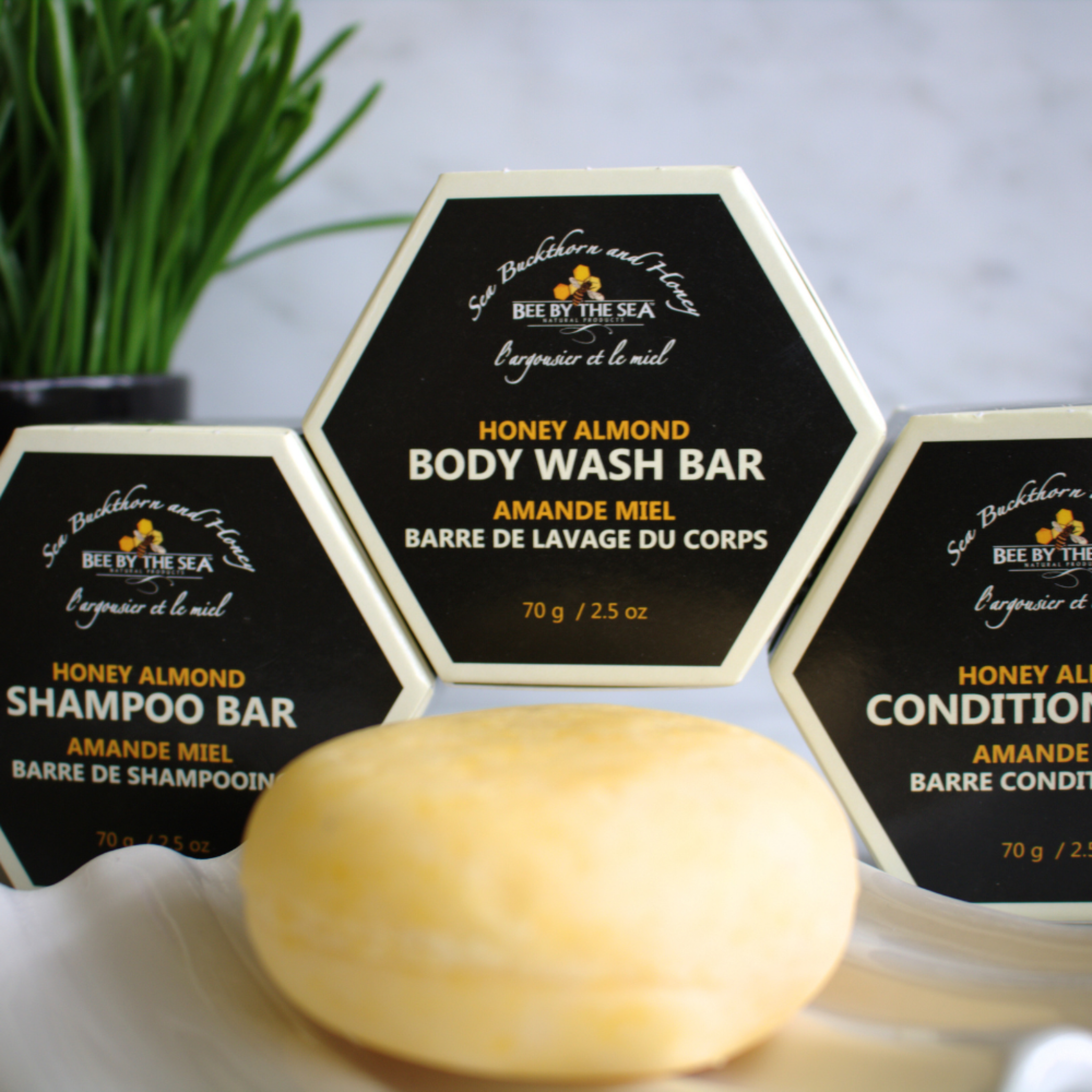 Bee By The Sea - Classic Body Wash Bar - 70g