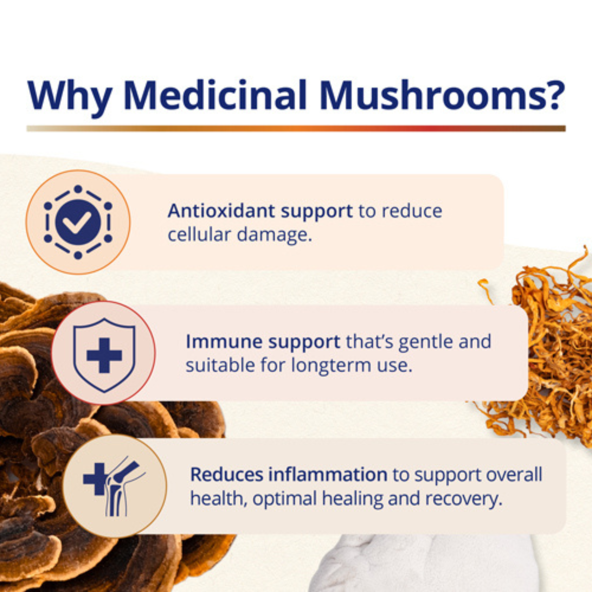 CanPrev - Multi-Mushroom Full Spectrum - 60 Veg Capsules