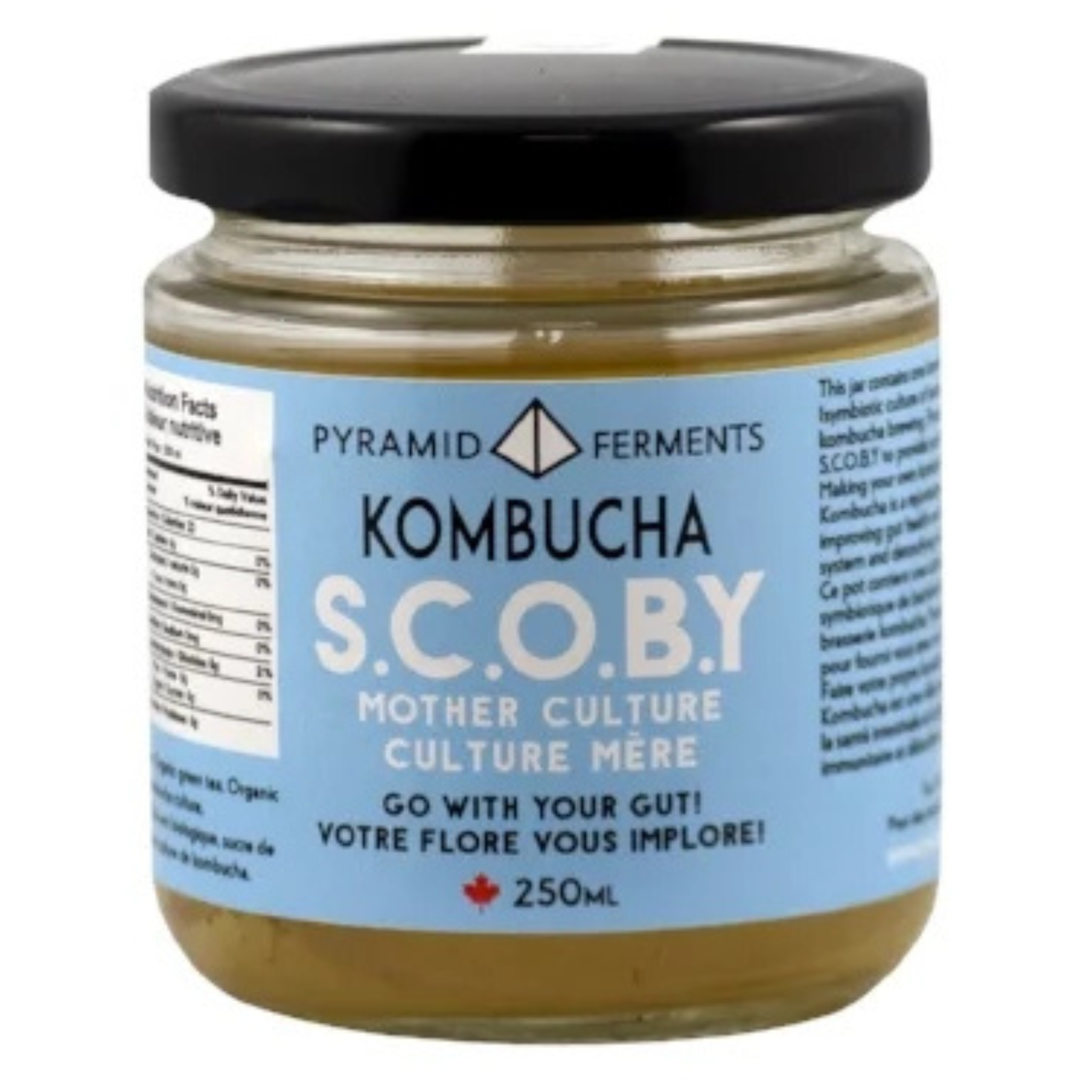 Pyramid Ferments - Kombucha S.C.O.B.Y Kit - 250ml (DSL BB 09/2025 ) (IN STORE PICKUP ONLY)