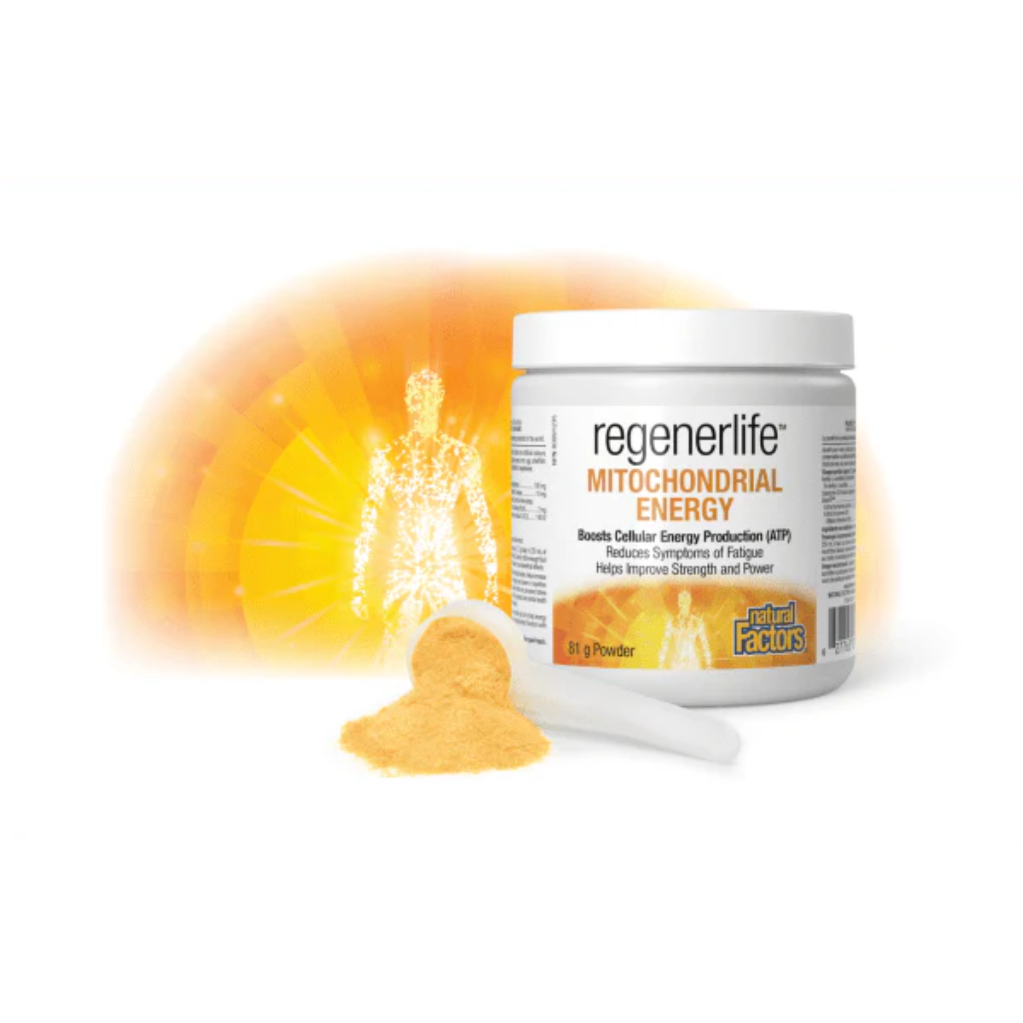Natural Factors - Regenerlife Mitochondrial Energy - 81g Powder