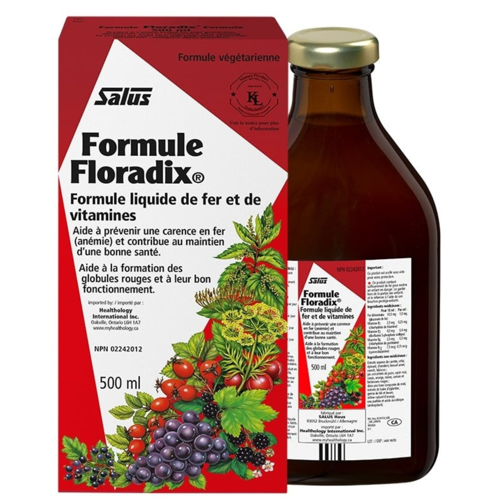Salus - Floradix Liquid Iron