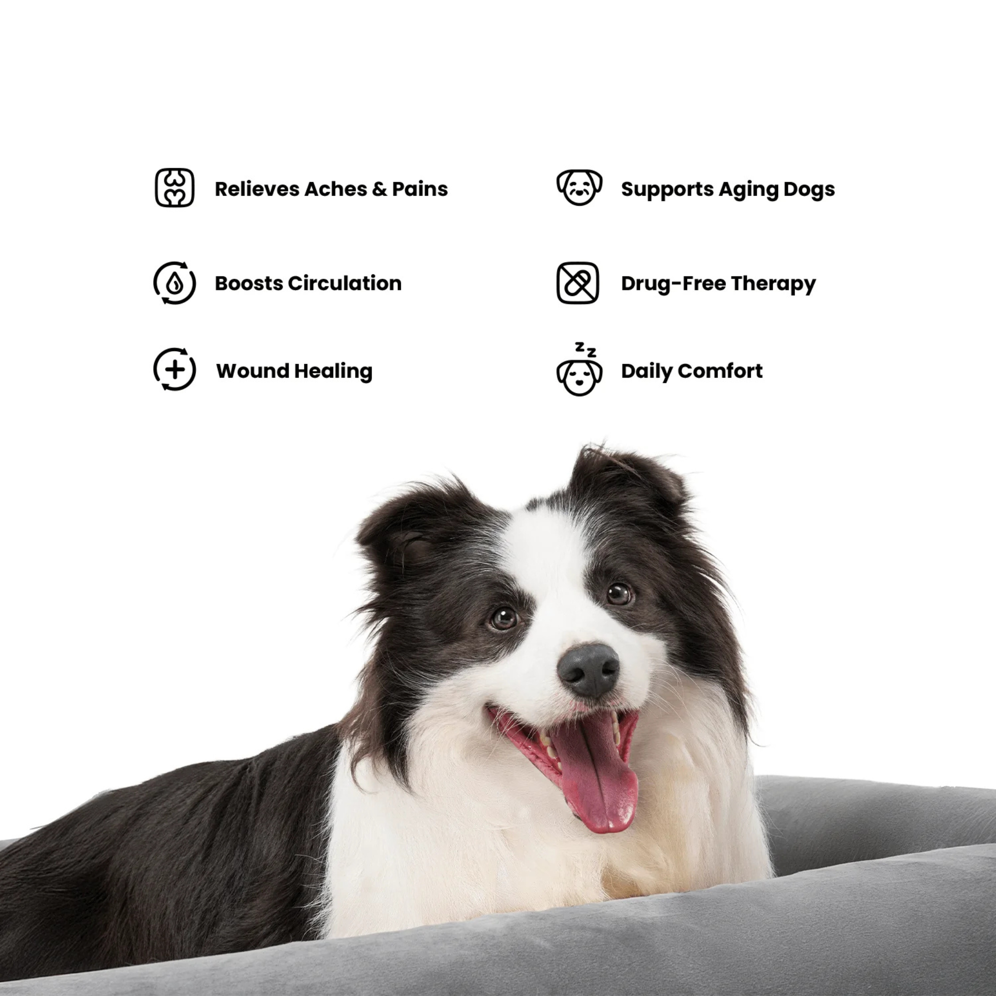 Kala Red Light - Pet Therapy Bed