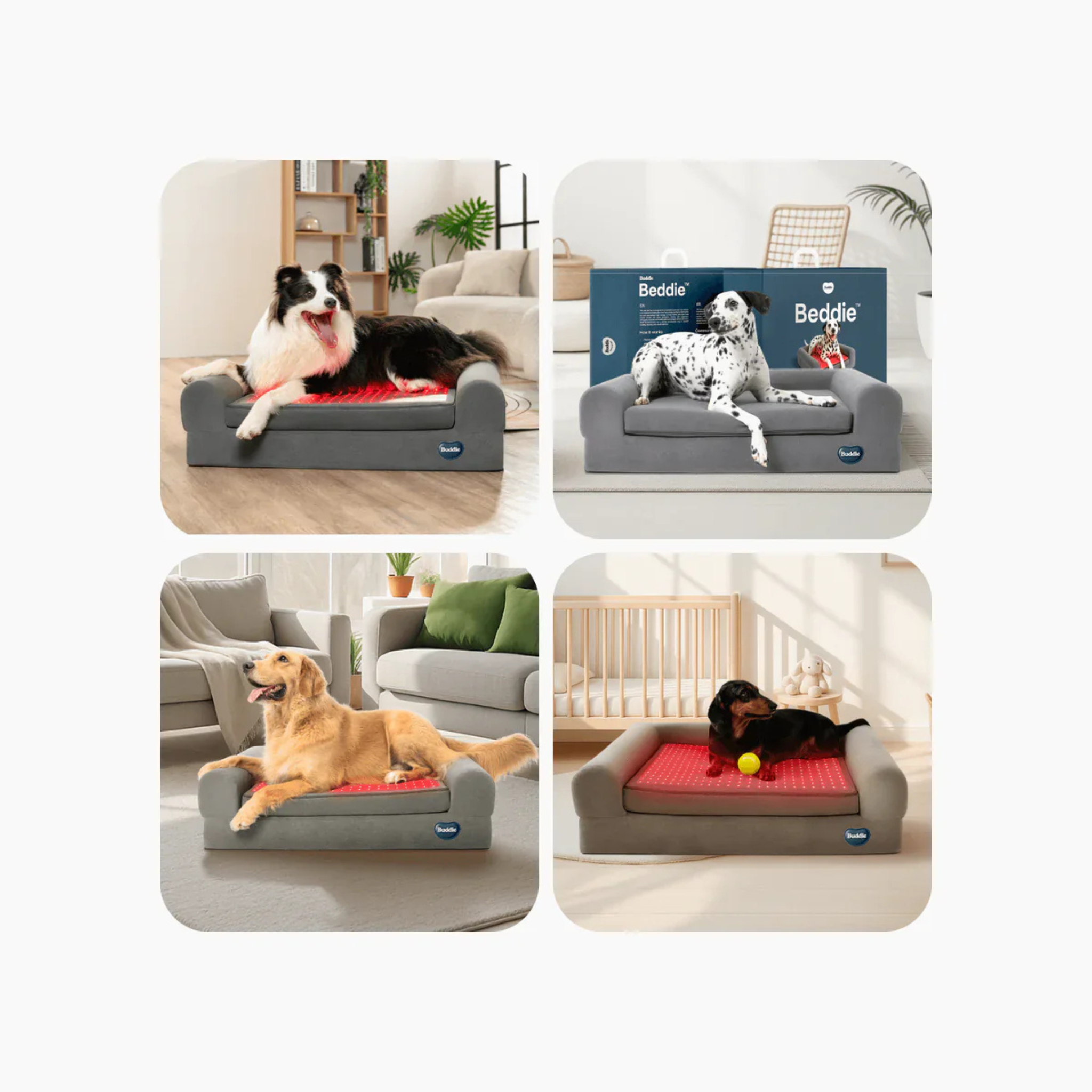Kala Red Light - Pet Therapy Bed