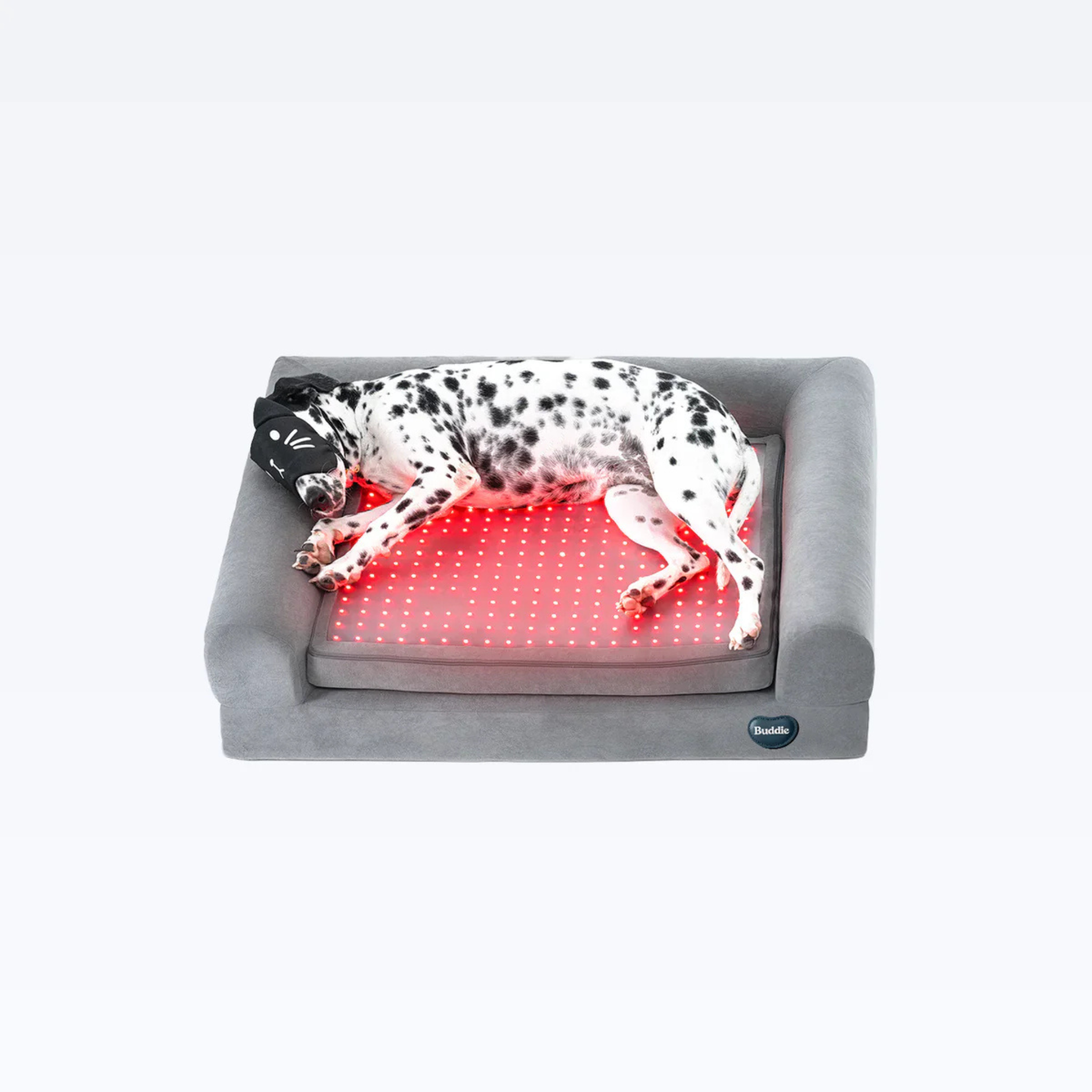 Kala Red Light - Pet Therapy Bed