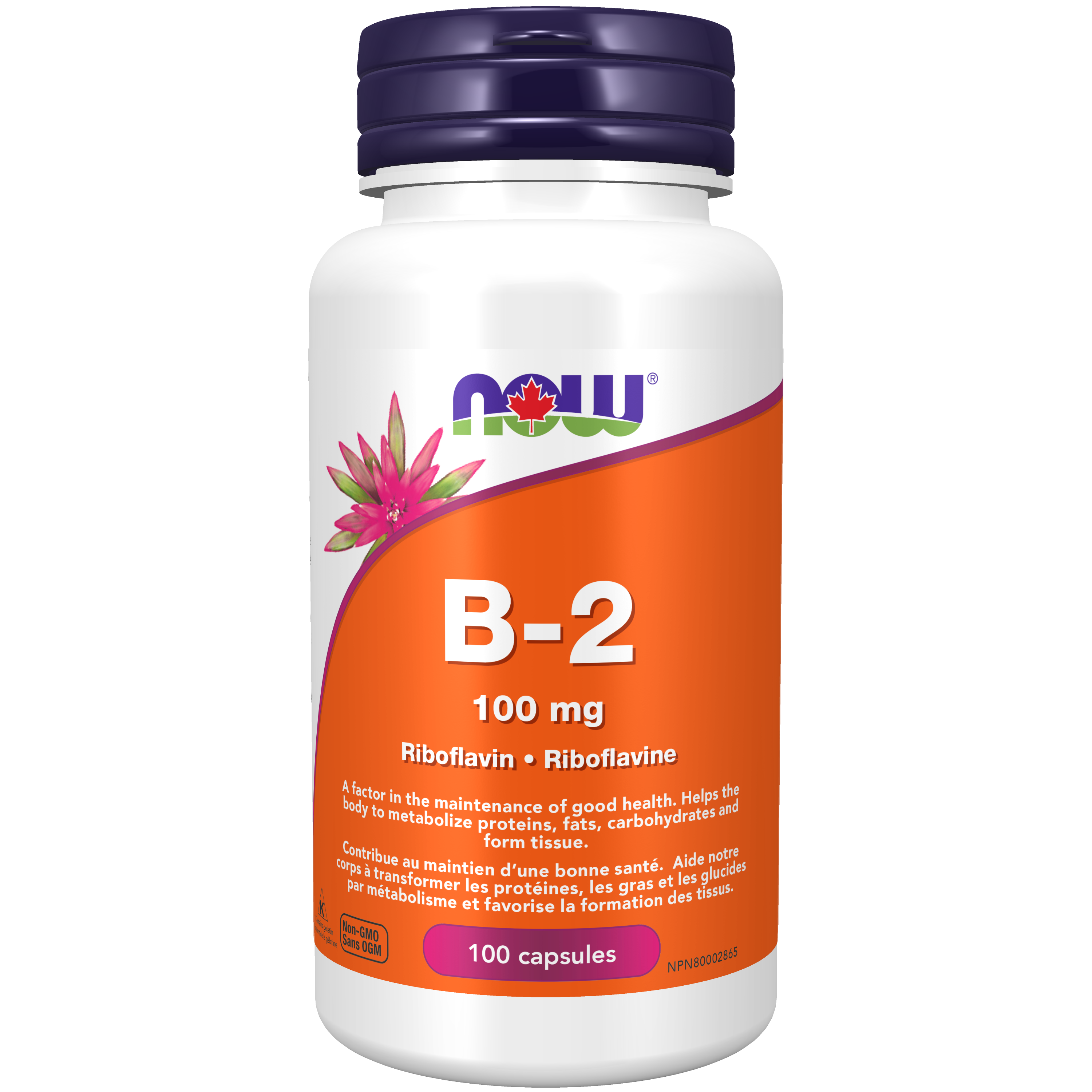Now - Vitamin B-2 - 100mg 100 Capsules