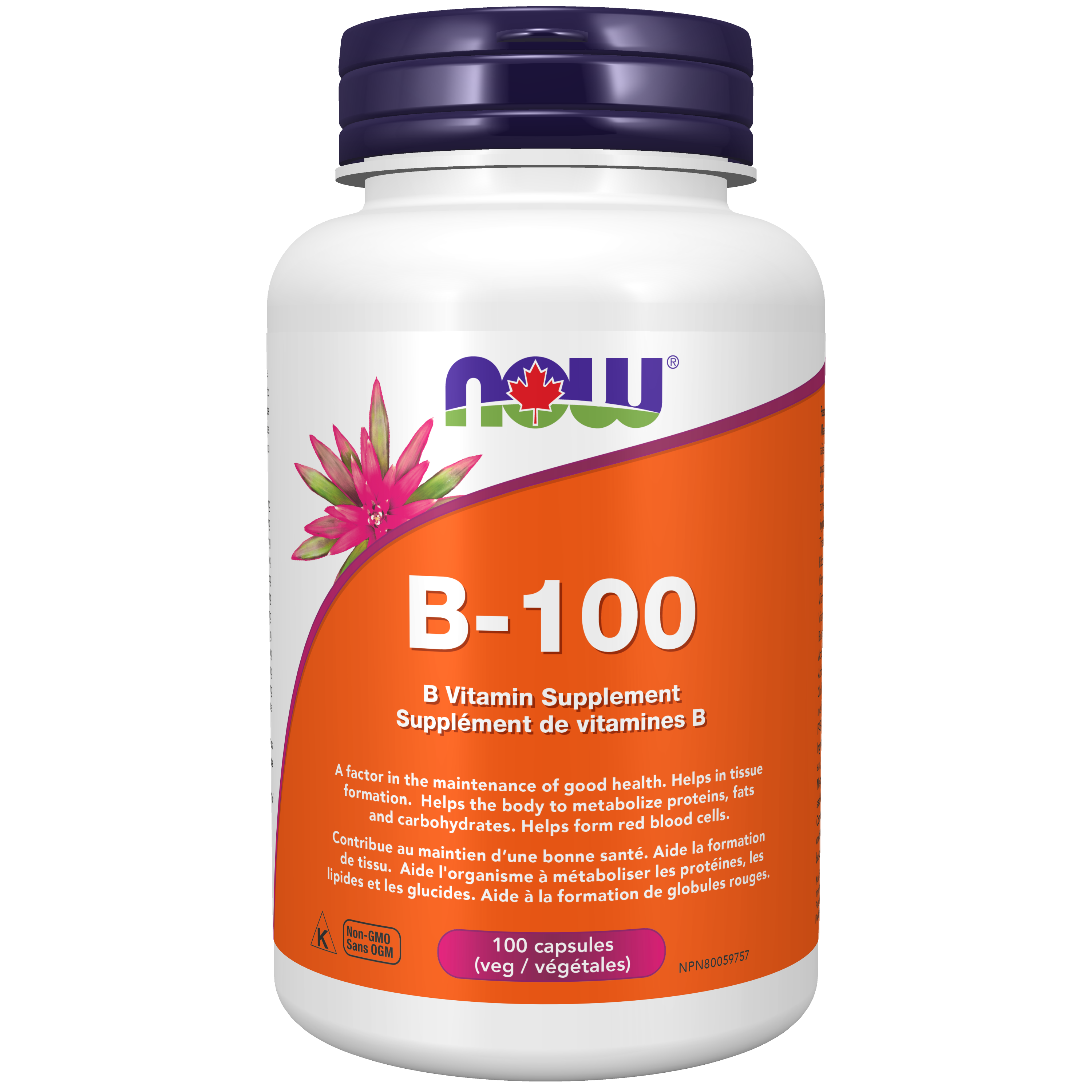 Now - B-100 - 100 Veg Capsules