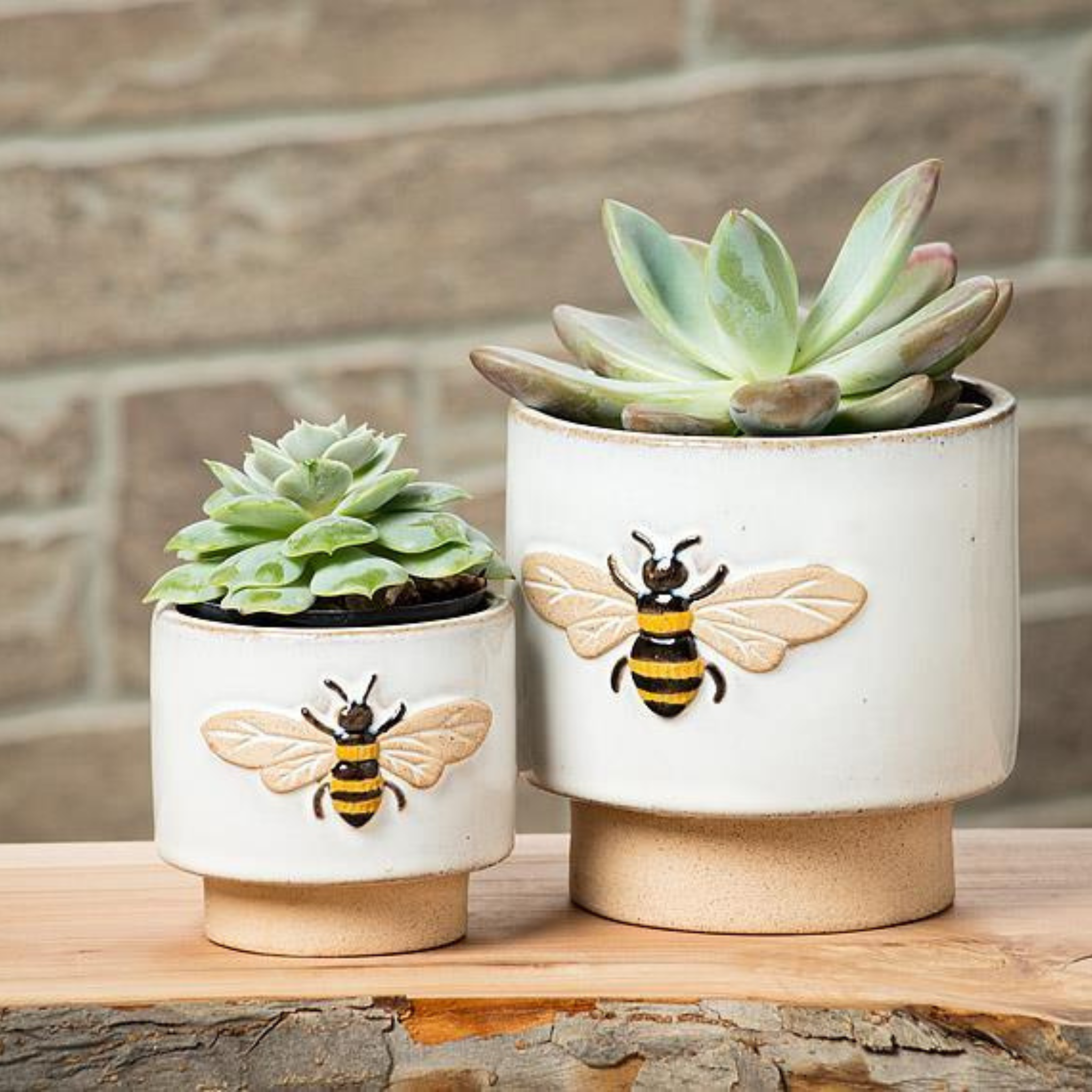 Abbott - Planter Embossed Solo Bee Medium