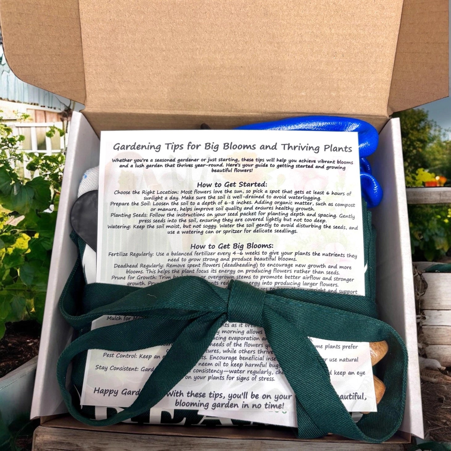 Fuschia Designs Shop - Bloom & Grow Garden Starter Kit