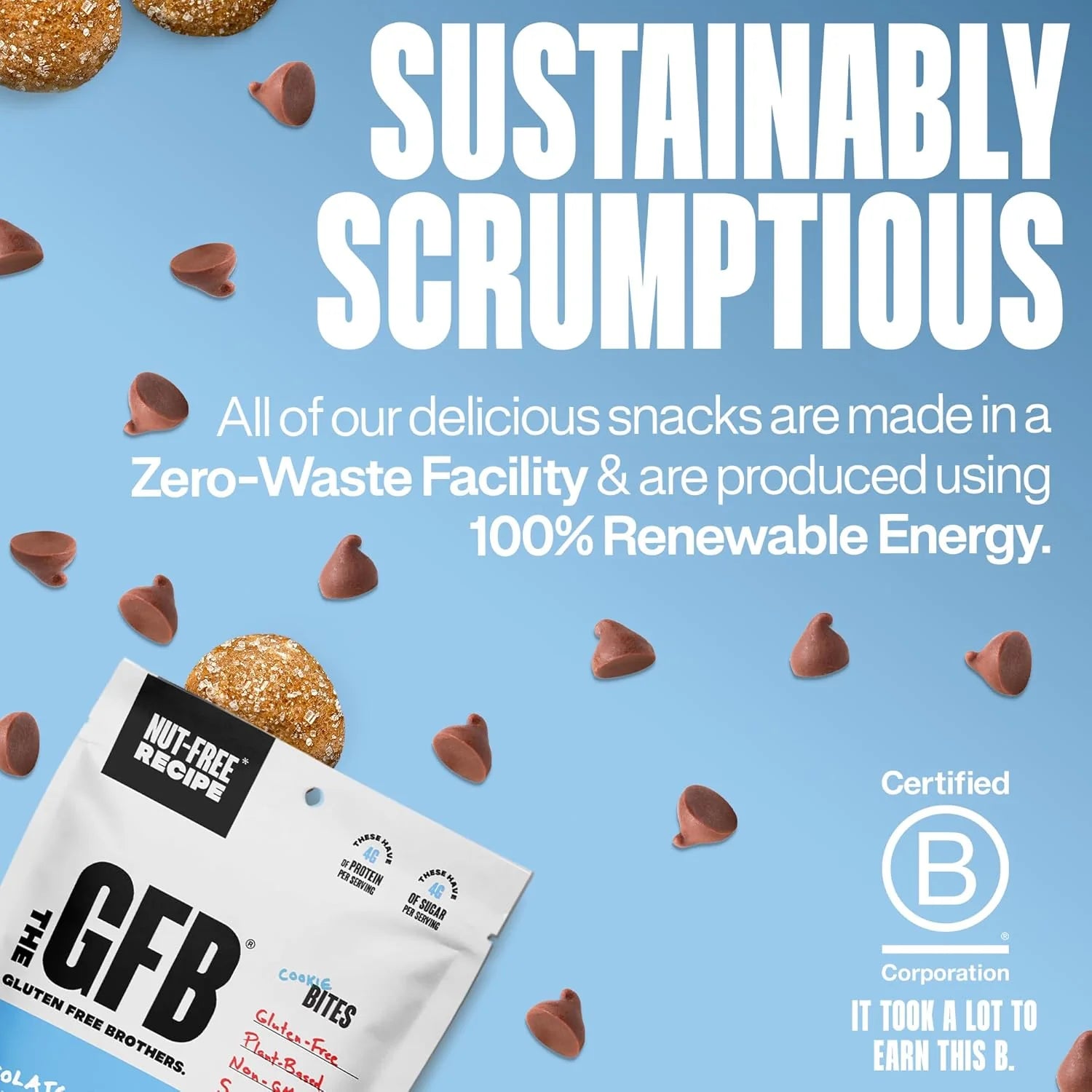 The Gluten Free Brothers - Chocolate Chip Cookie Dough Bites - 113g