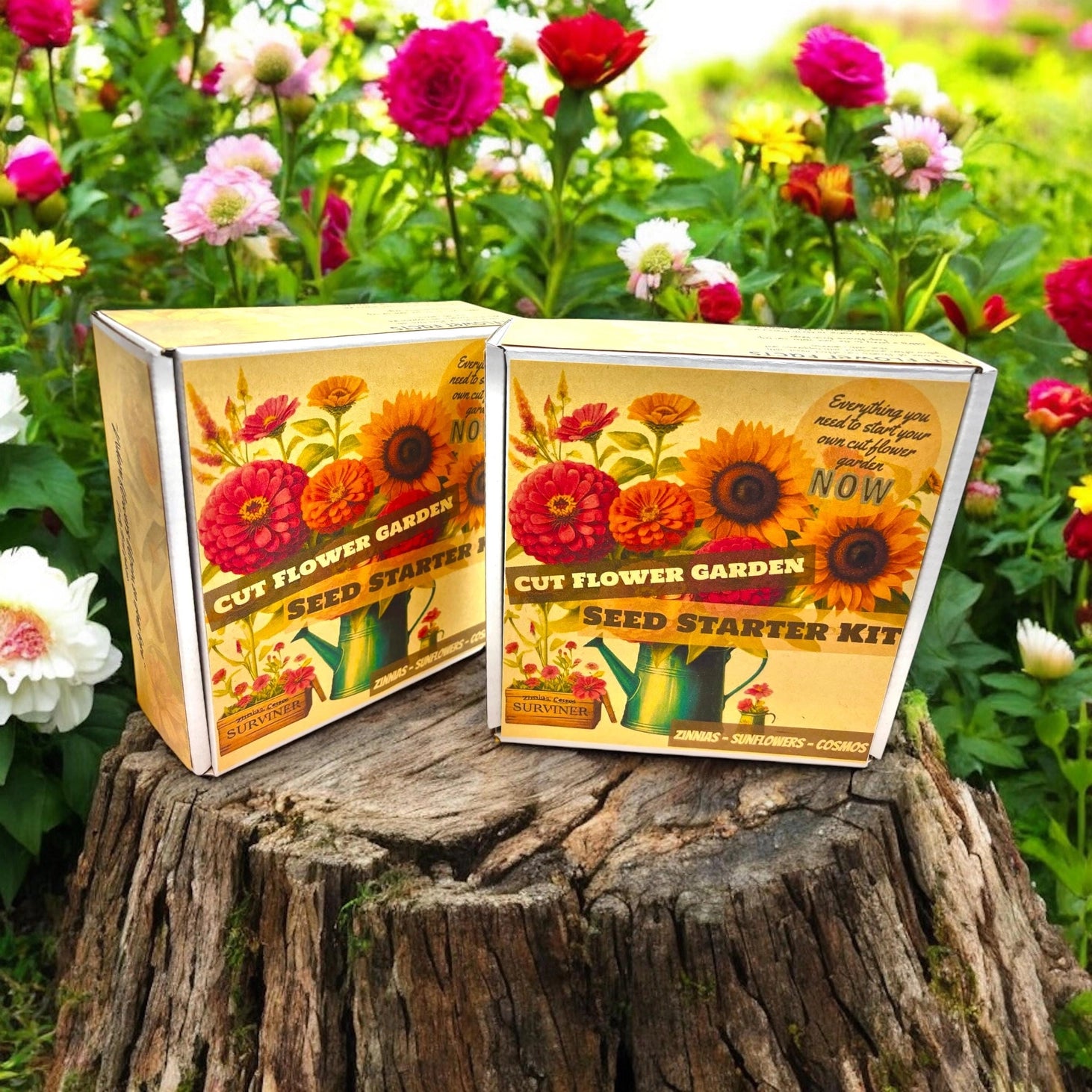 Fuschia Designs Shop - Cut Flower Garden Kit w/ Zinnia, Cosmo, and Sunflower Seeds