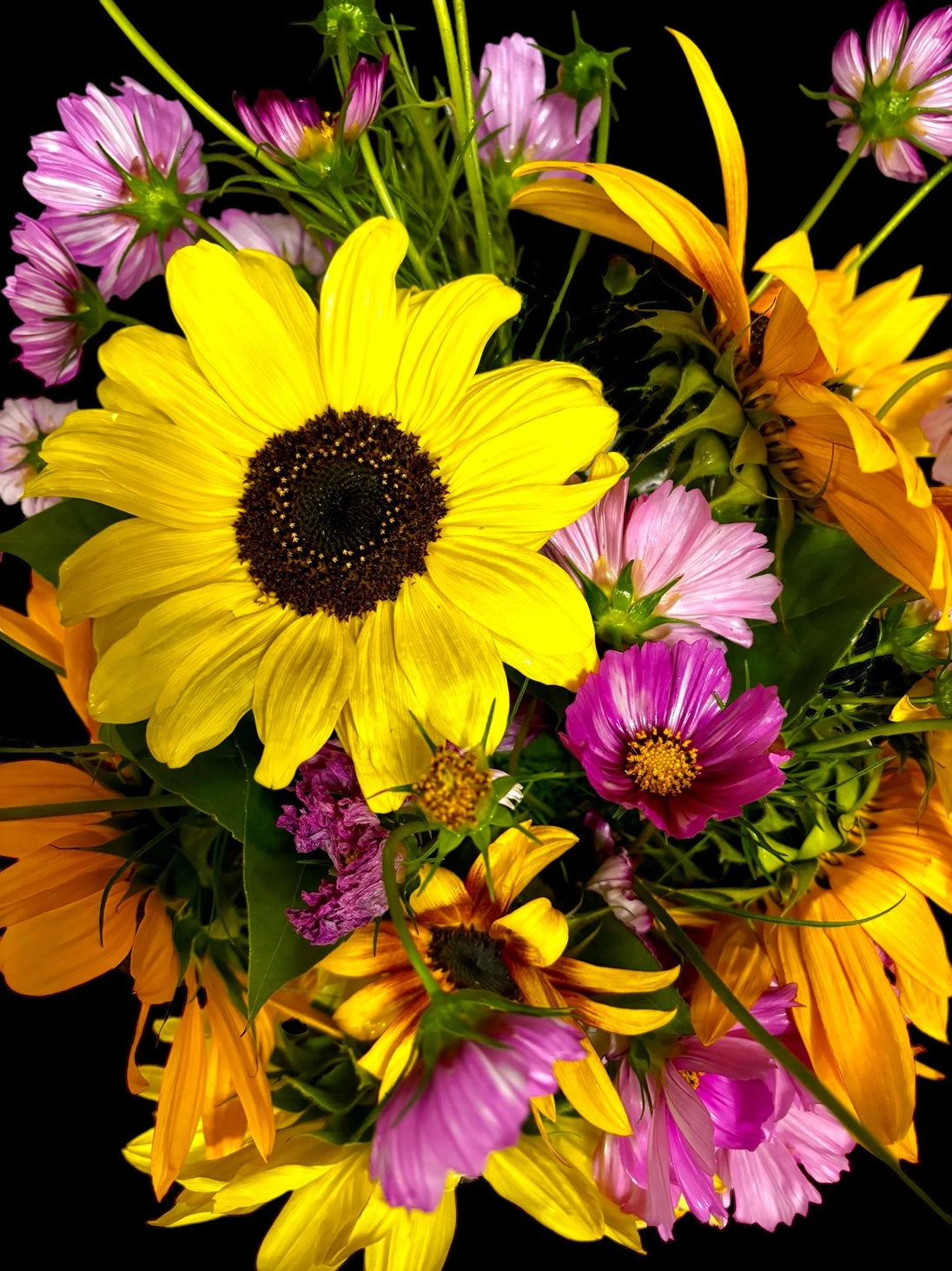 Fuschia Designs Shop - Cut Flower Garden Kit w/ Zinnia, Cosmo, and Sunflower Seeds