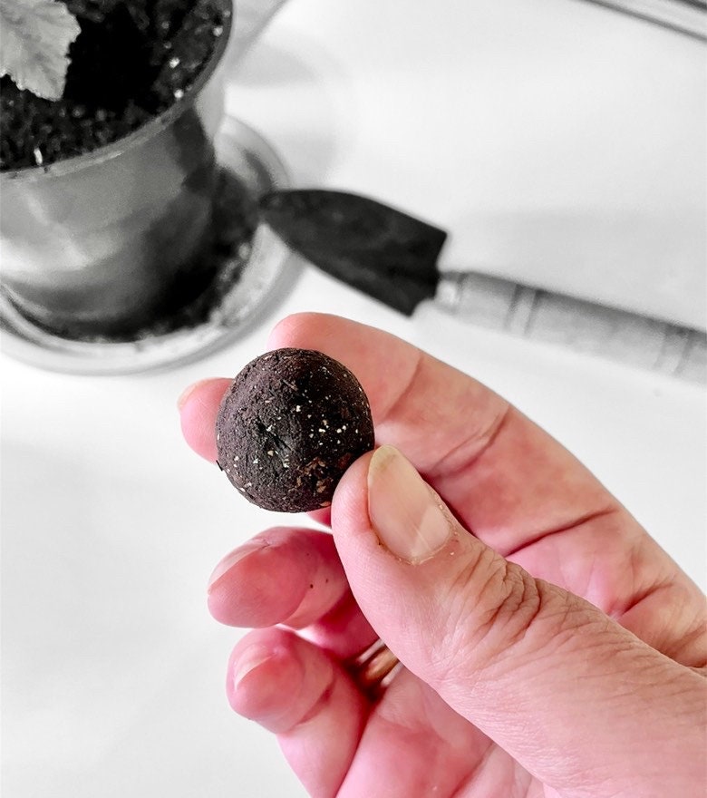 Fuschia Designs Shops - Seed Bombs DIY Craft Kits