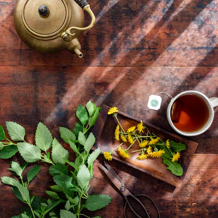 Traditional Medicinals - Organic Dandelion Leaf & Root Tea - 16 Tea Bags