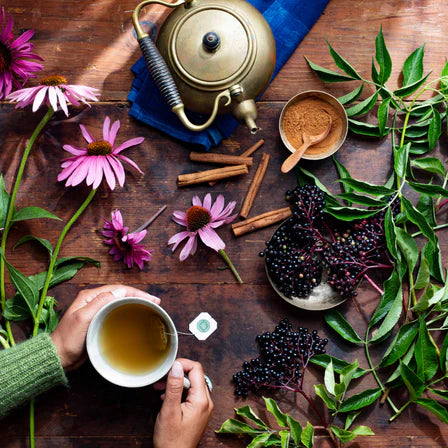 Traditional Medicinals - Organic Echinacea Plus Elderberry - 16 Tea Bags