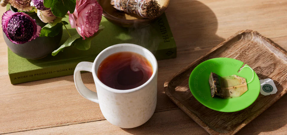 Traditional Medicinals - Organic Echinacea Plus Elderberry - 16 Tea Bags