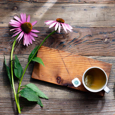 Traditional Medicinals - Echinacea Plus Original W/ Spearmint - 16 Tea Bags