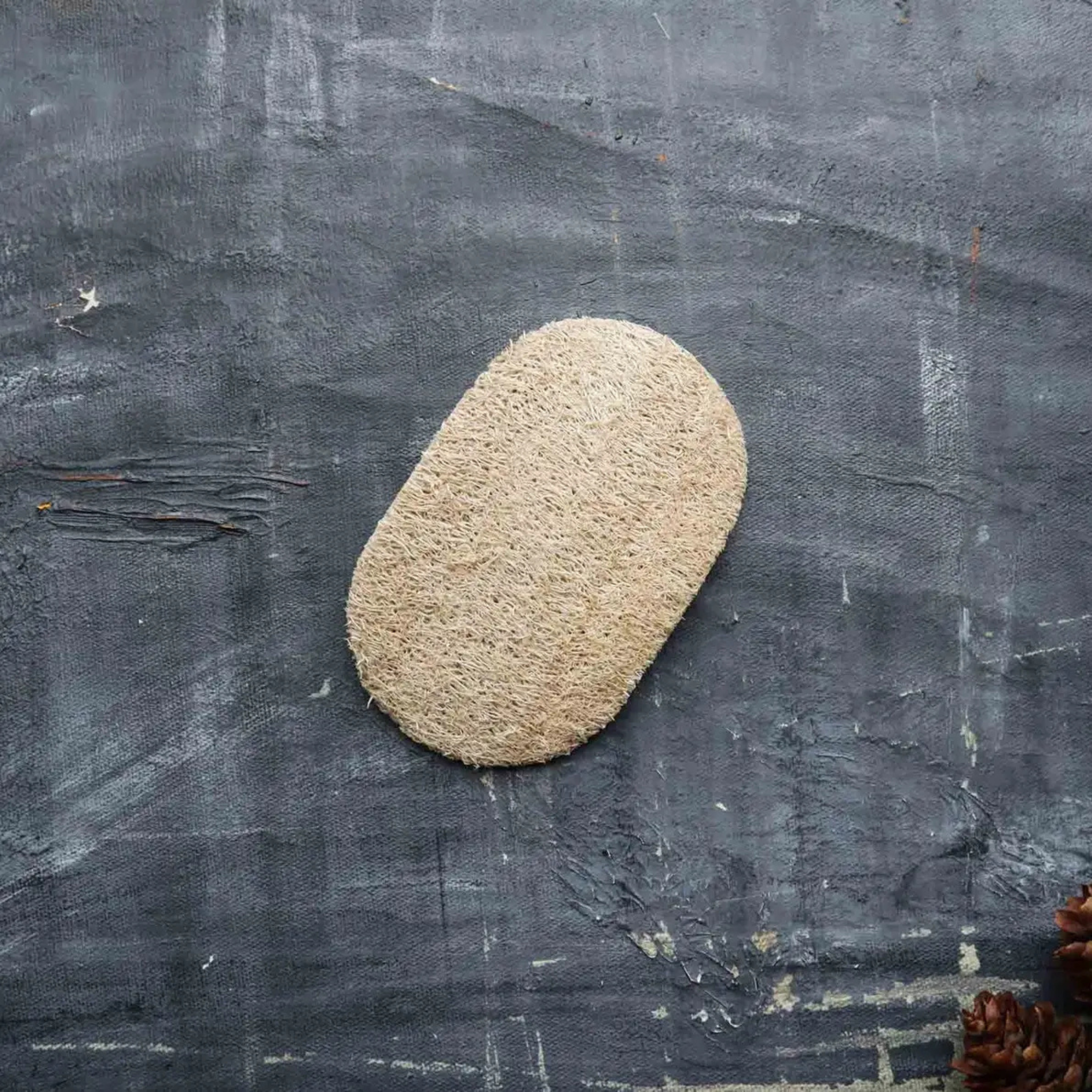 Plantish - Dishwashing Loofah Sponge - Set of 2