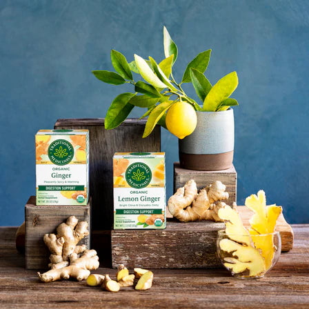 Traditional Medicinals - Organic Ginger Tea - 16 Tea Bags