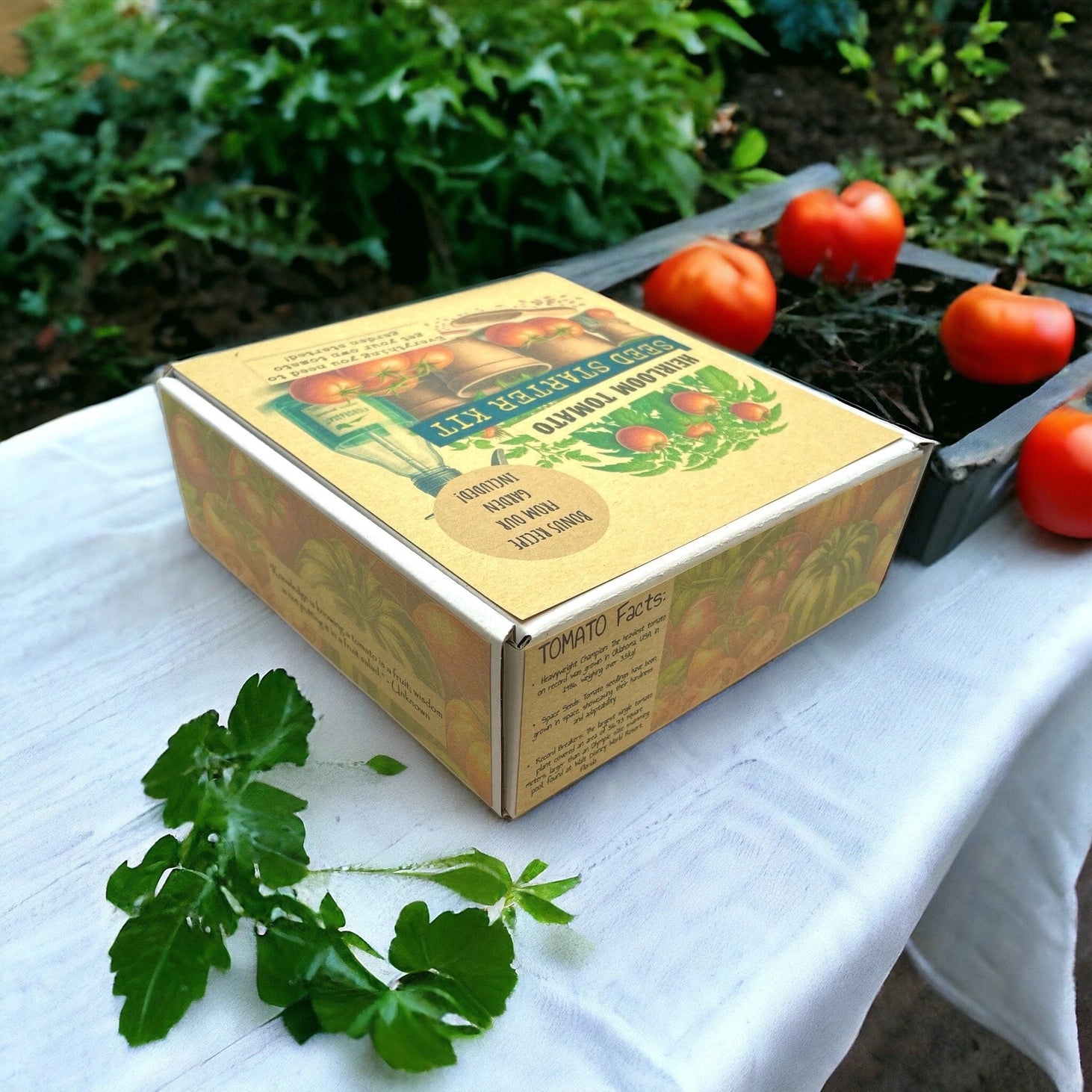 Fuschia Designs Shop - Heirloom Tomato Starter Kit: Grow Your Own Heritage Tomatoes