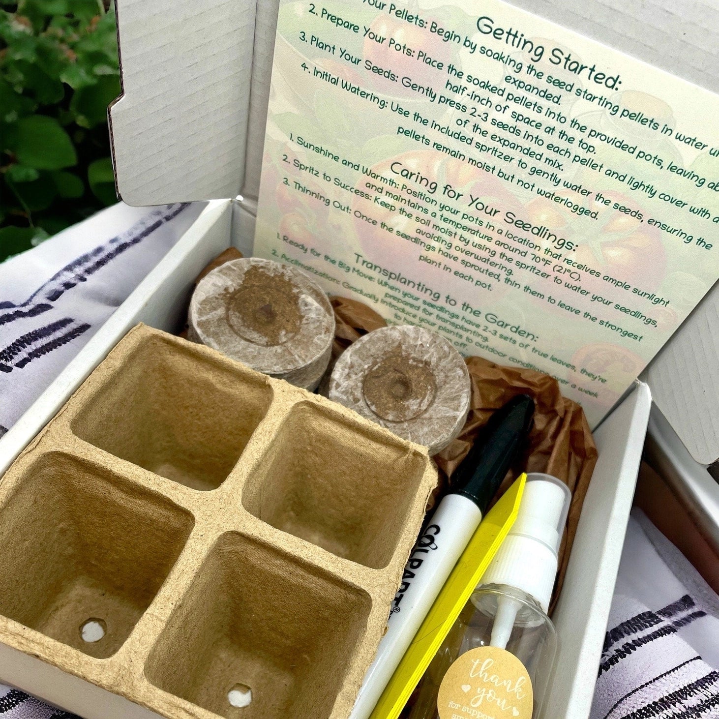Fuschia Designs Shop - Heirloom Tomato Starter Kit: Grow Your Own Heritage Tomatoes