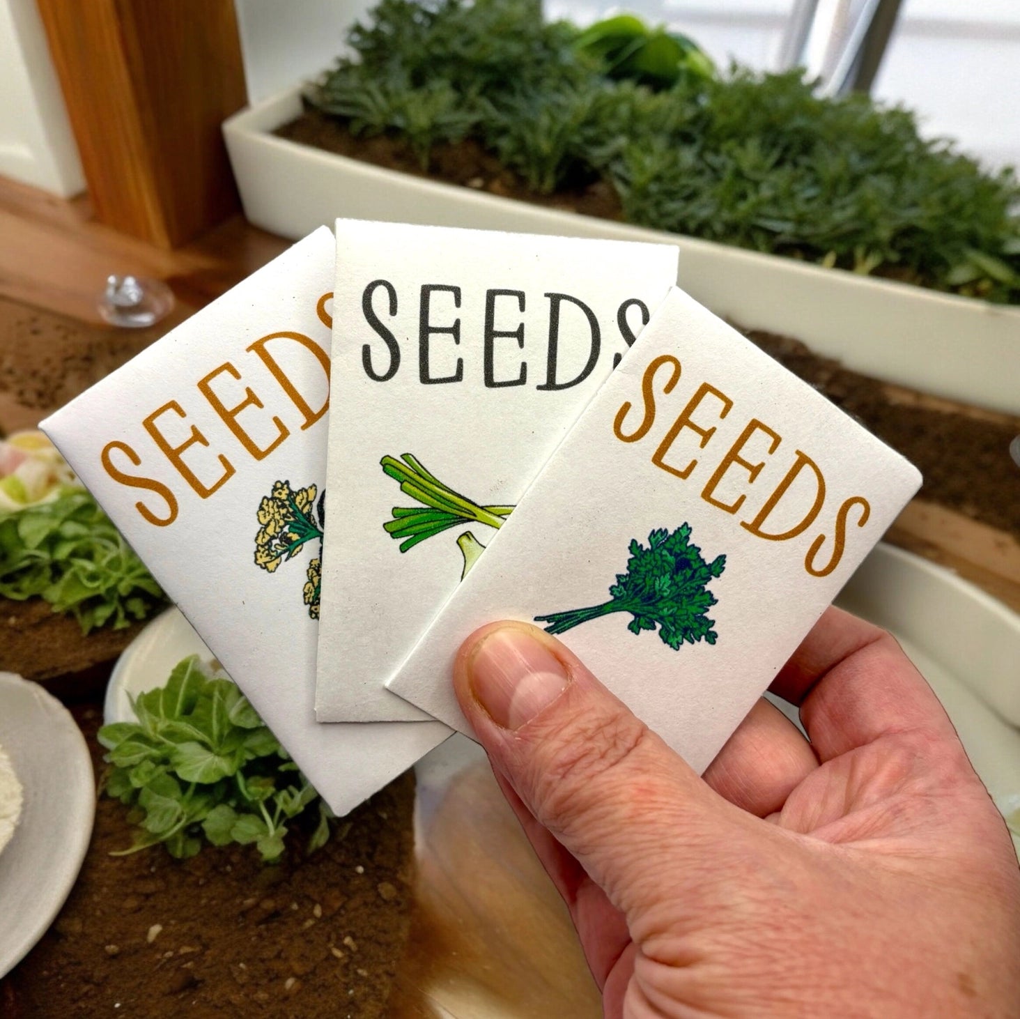 Fuschia Design Shops - Indoor Herb Garden Starter Kit with Parsley, Chives, and Dill Seeds
