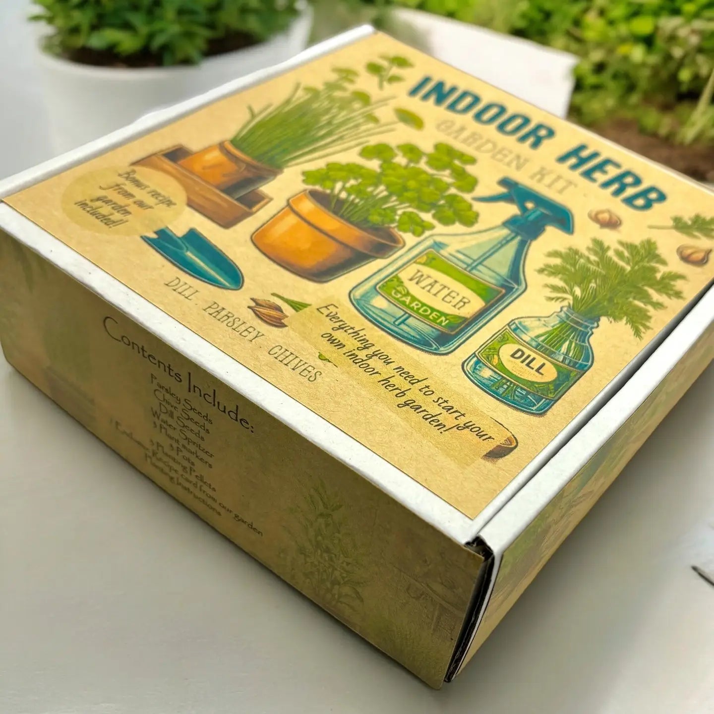 Fuschia Design Shops - Indoor Herb Garden Starter Kit with Parsley, Chives, and Dill Seeds
