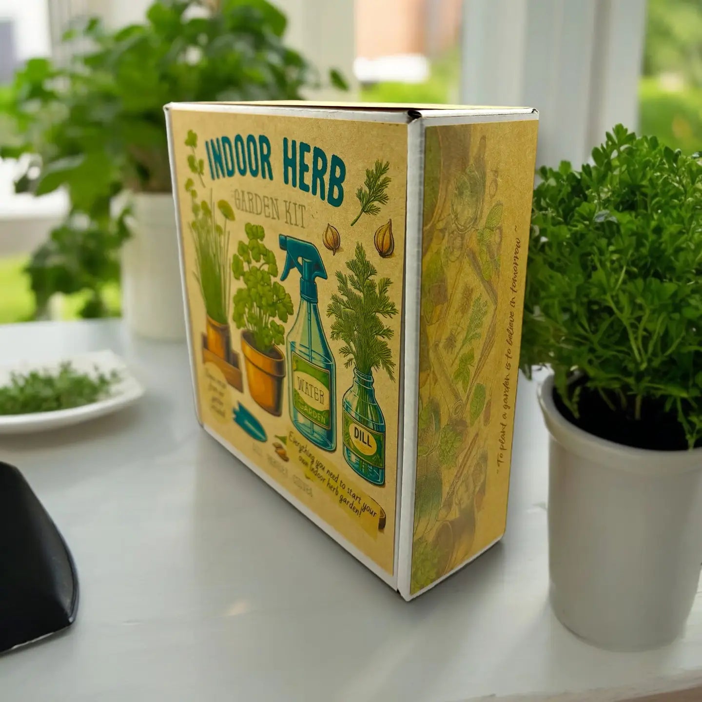 Fuschia Design Shops - Indoor Herb Garden Starter Kit with Parsley, Chives, and Dill Seeds
